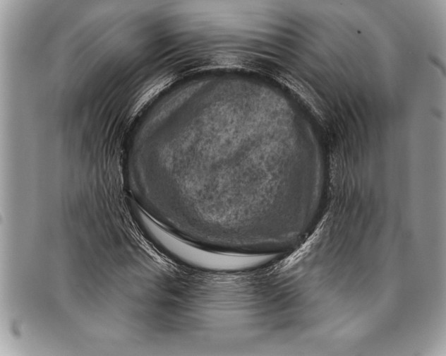 X0000097890826200803281244