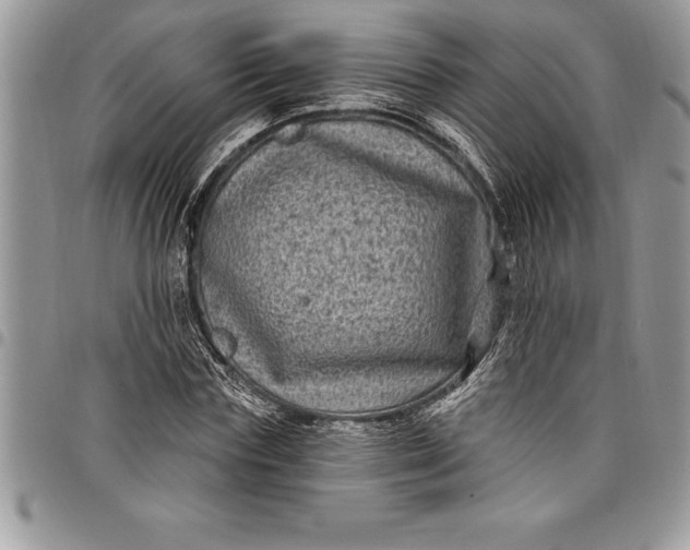 X0000097890827200803281244