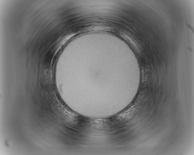 X0000097890828200803281244