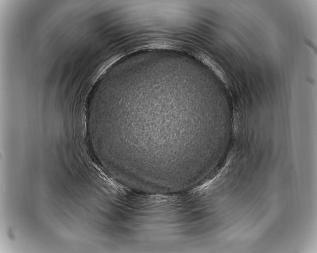 X0000097890829200803281244