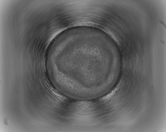 X0000097890830200803281244