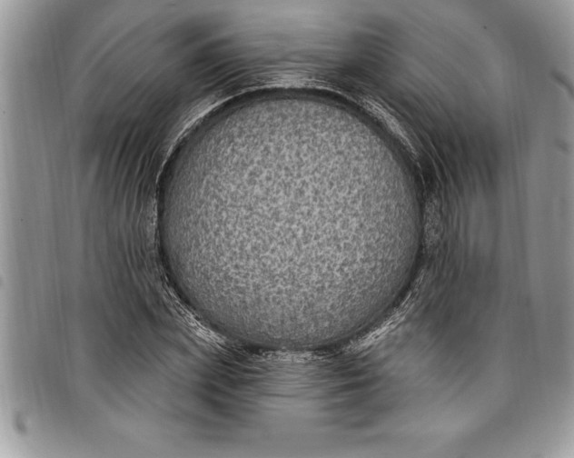 X0000097890831200803281244