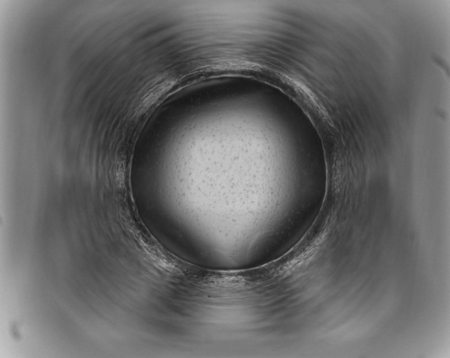 X0000097890833200803281244