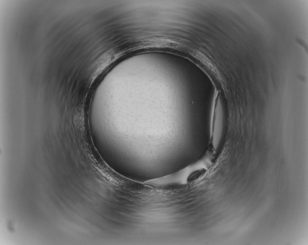 X0000097890834200803281244