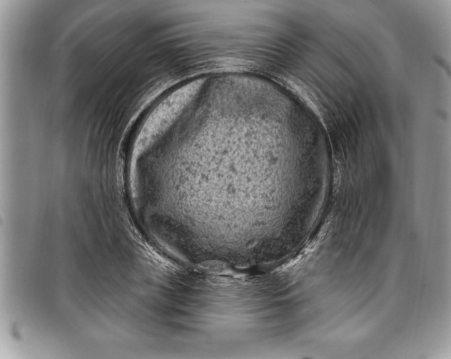 X0000097890835200803281244