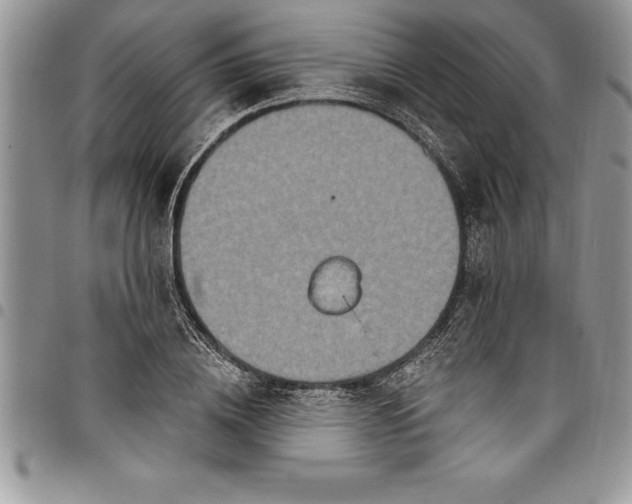 X0000097890836200803281244