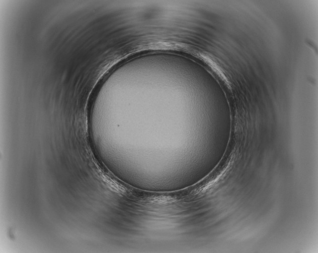 X0000097890837200803281244