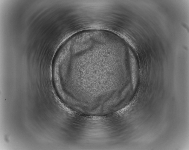 X0000097890839200803281244