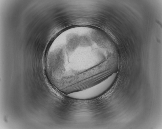 X0000097890840200803281244