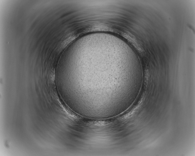 X0000097890841200803281244