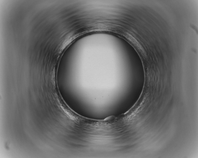 X0000097890842200803281244