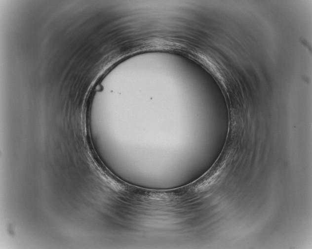 X0000097890843200803281244