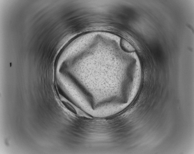 X0000097890844200803281244