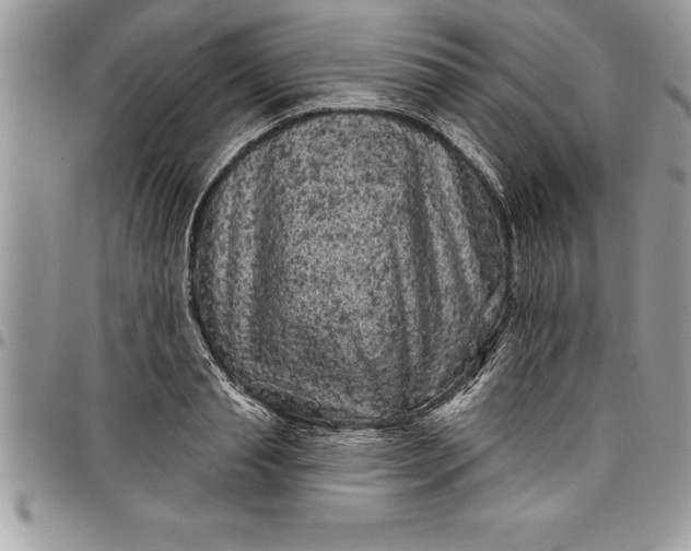 X0000097890845200803281244