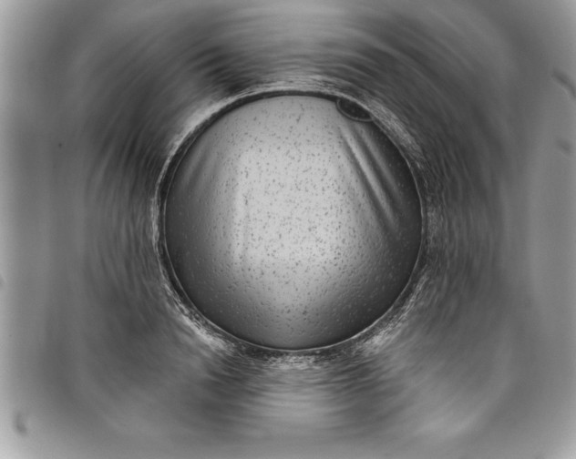 X0000097890846200803281244