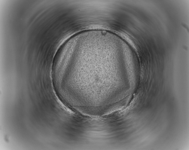 X0000097890847200803281244