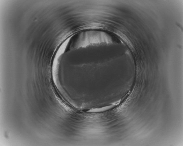 X0000097890850200803281244