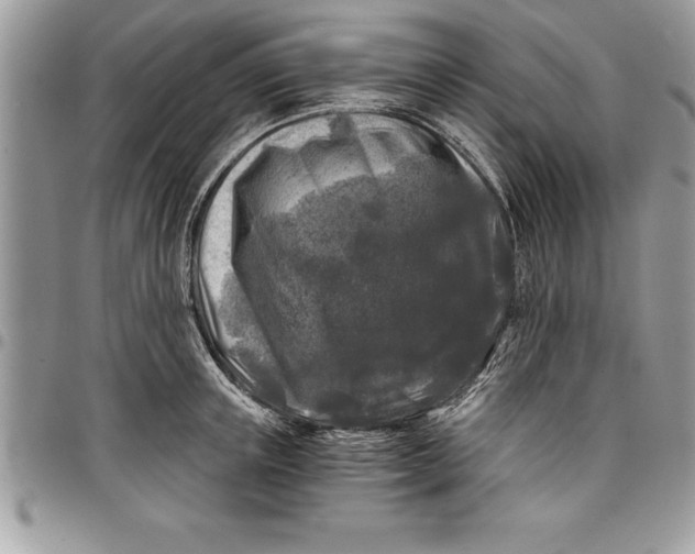 X0000097890851200803281244