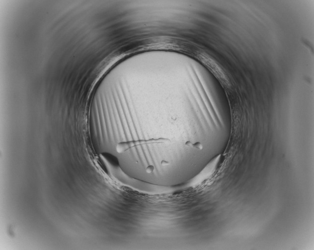 X0000097890852200803281244