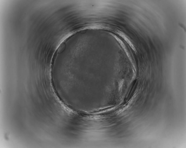 X0000097890853200803281244