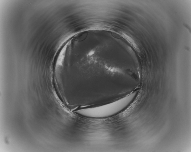 X0000097890854200803281244