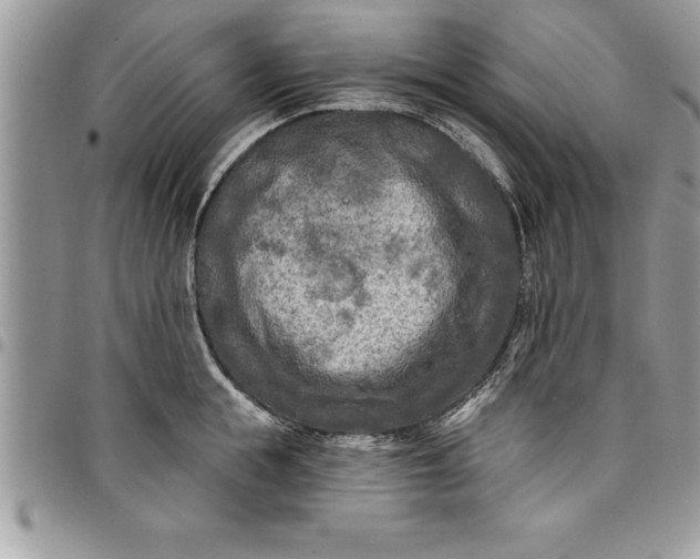 X0000097890855200803281244