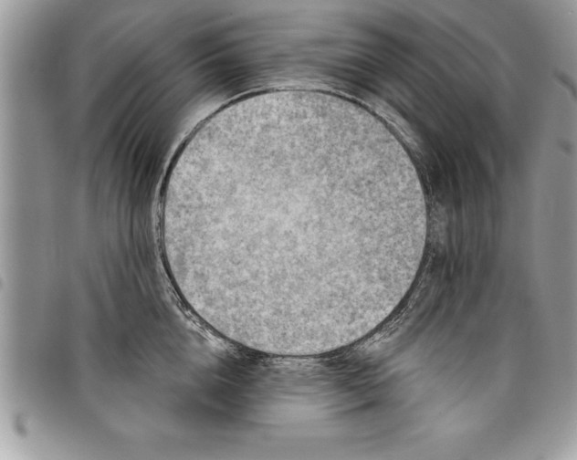 X0000097890856200803281244