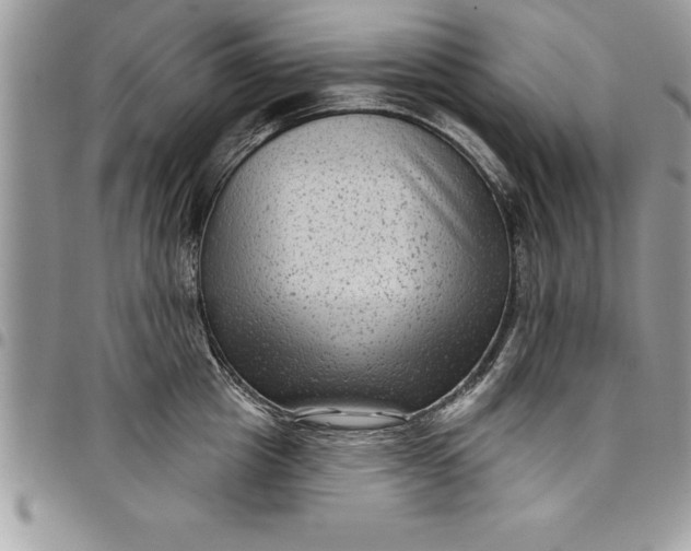 X0000097890857200803281244