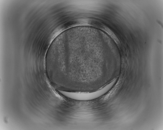 X0000097890858200803281244