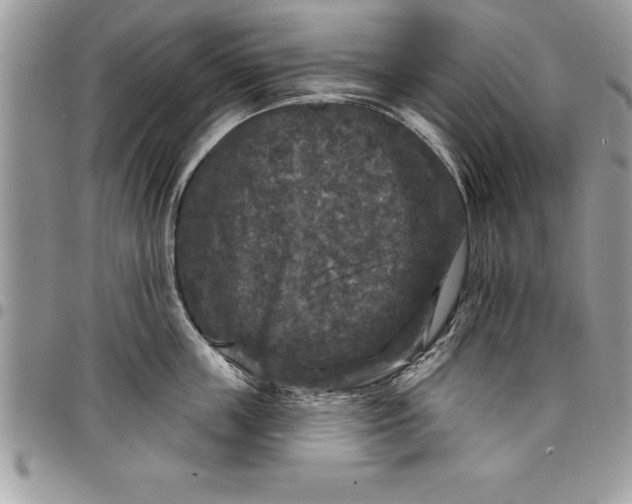 X0000097890859200803281244