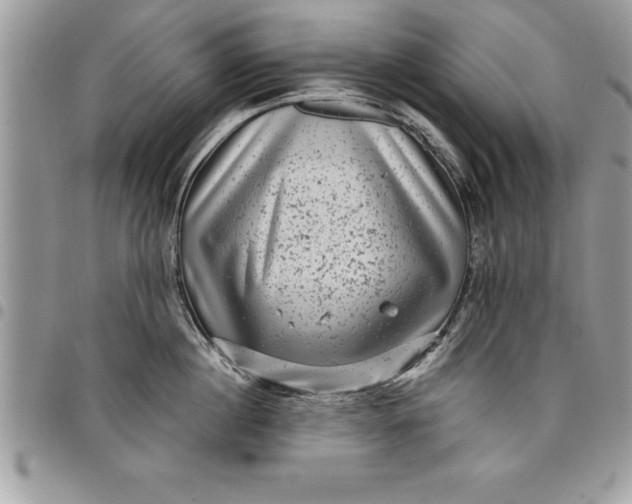 X0000097890860200803281244