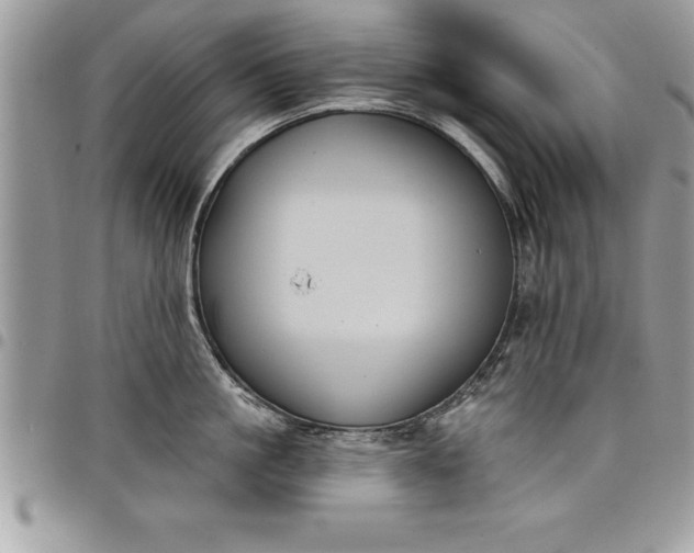 X0000097890861200803281244