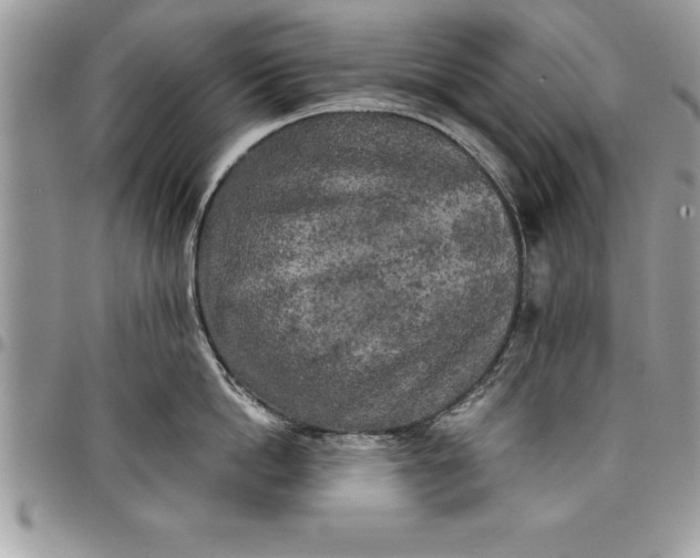 X0000097890862200803281244