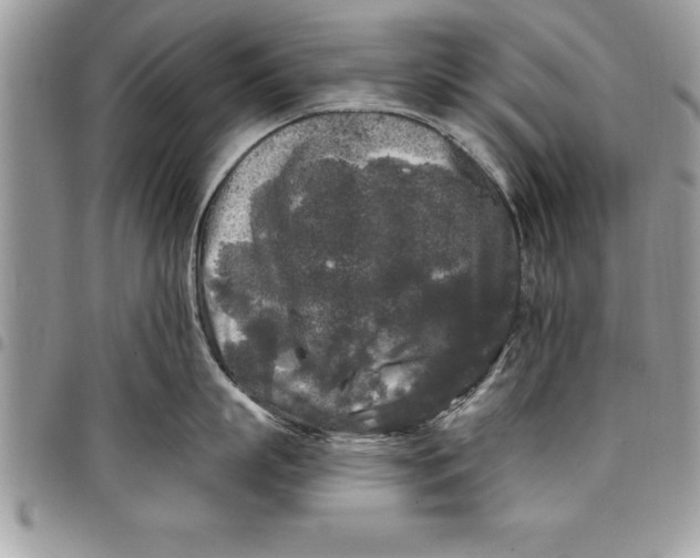 X0000097890863200803281244