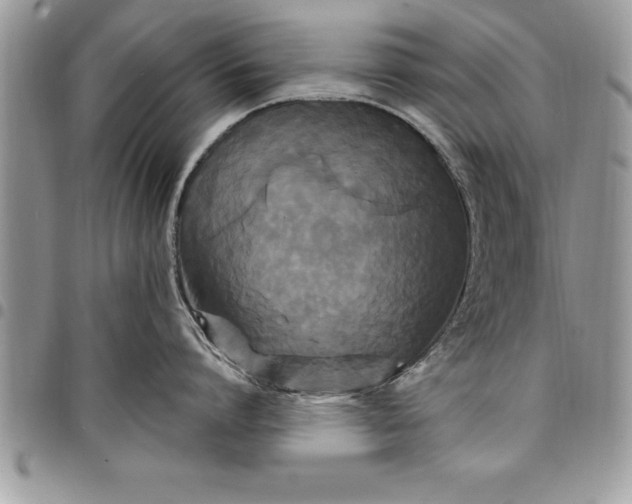 X0000097890864200803281244