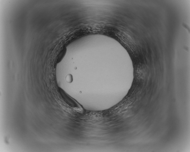 X0000097890865200803281244