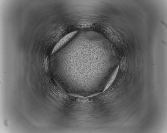 X0000097890866200803281244