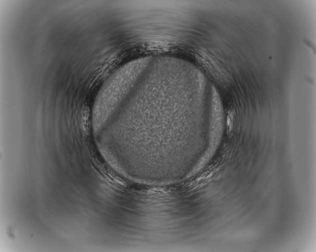 X0000097890867200803281244