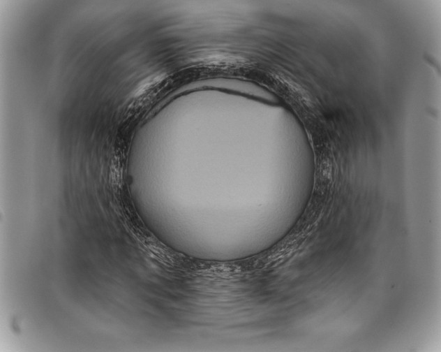 X0000097890869200803281244