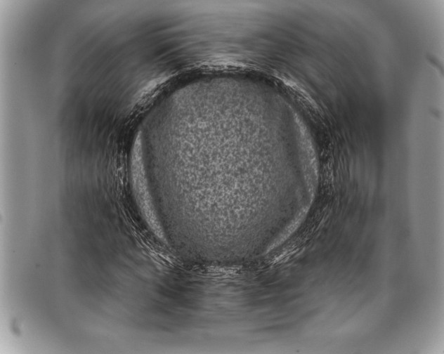 X0000097890870200803281244