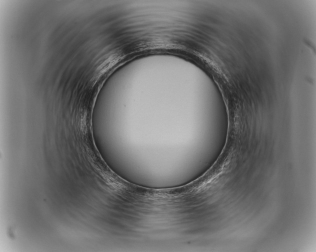 X0000097890873200803281244