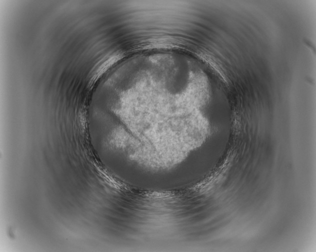 X0000097890874200803281243