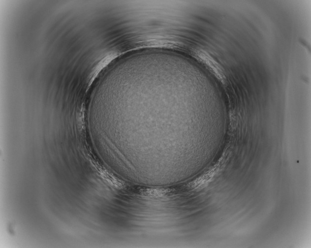 X0000097890875200803281243