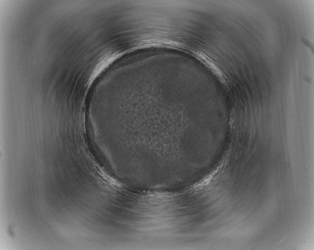 X0000097890877200803281243