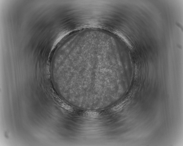 X0000097890878200803281243