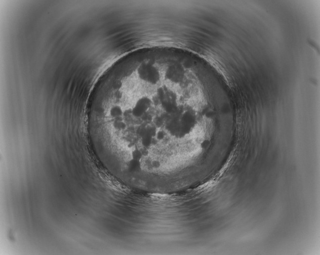 X0000097890879200803281243