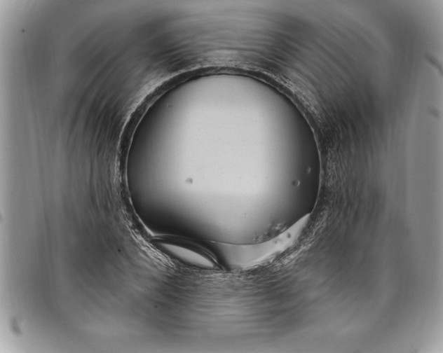 X0000097890880200803281243