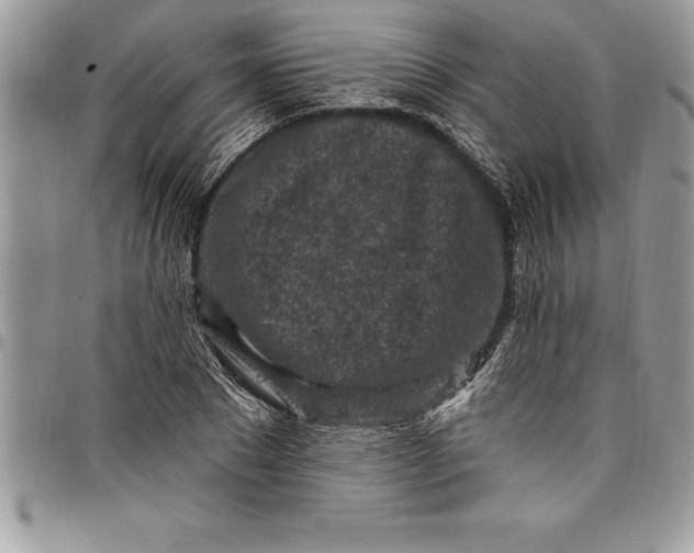 X0000097890881200803281243