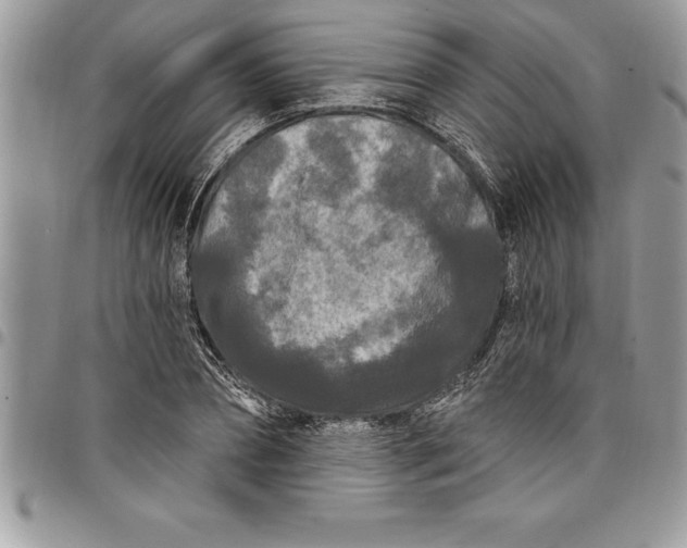 X0000097890882200803281243