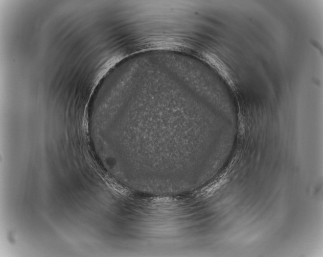 X0000097890883200803281243